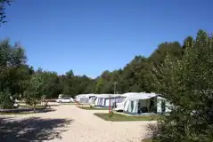 Electric Hardstanding Pitches at Wareham Forest Tourist Park
