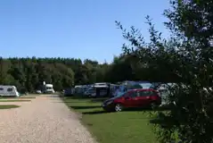 Electric Grass Pitches at Wareham Forest Tourist Park