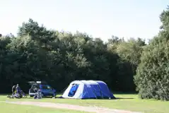 Non Electric Woodland Camping Pitches at Wareham Forest Tourist Park