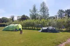 Electric Grass Pitches at Green Haven Camping
