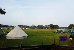 Non Electric Grass Pitches at Oakfield Farm Campsite