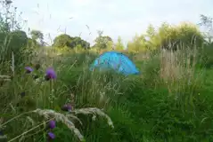 Meadow and Woodland Camping Pitches at Farm on the Hill