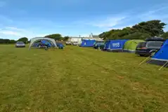 Non Electric Grass Pitches at Ffynnonddewi Camping