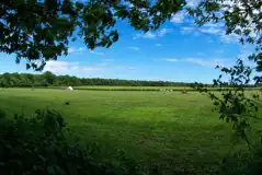 Electric Grass Pitches at Breck Farm