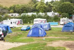 Grass Pitches at Ulwell Holiday Park