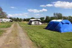 Electric Grass Tent Pitches at Countryview Campsite