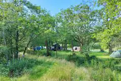 Non Electric Wild Pitches at Red Squirrel Campsite