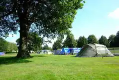 Small Grass Tent Pitches at South Lytchett Manor Caravan and Camping Park