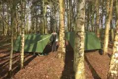 Hammock Camping Pitches at Woodlake Campsite and Caravan Park