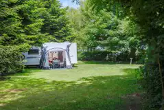 Electric Grass Pitches (Conifer Corner)  at Lincolnshire Lanes