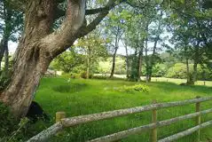 Electric Grass Pitches at Wenallt Farm Campsite