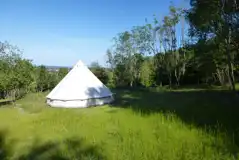 Wild Camping at Wayfaring Farm Camping