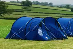 Medium Tent Pitches at Treacle Valley Campsite