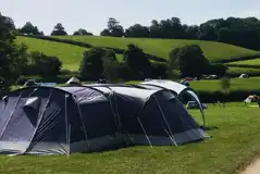 Extra Large Tent Pitches at Treacle Valley Campsite