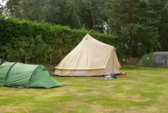 Grass Camping Pitches at Fakenham Racecourse
