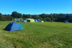 Non Electric Grass Pitches at Wonders Corner Camping