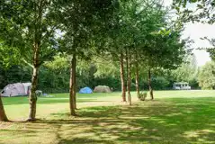 Non Electric Grass Tent Pitches at Lakeside Caravan Park