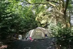Grass Pitches at Noble Wood Camping