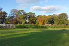 Extra Large Grass Tent Pitches at Forest Park