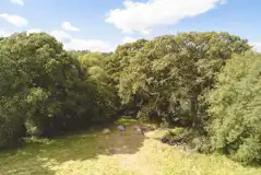 Wild Grass Pitches at Bush Farm Wild Camping