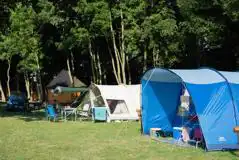 Electric Grass Pitches at Lee Valley Camping and Caravan Park Edmonton