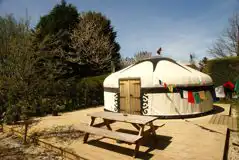 Yurt at Dogwood Camping and Glamping