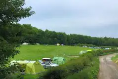 Non Electric Grass Tent Pitches at Cedar Valley