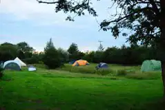 Non Electric Grass Tent Pitches at Purple Badger Camping and Fishing Lakes