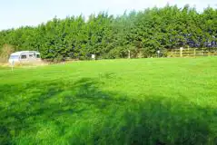 Electric Grass Pitches at The Gate Hangs High