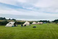 Non Electric Grass Tent Pitches at Marshwood Farm Camping