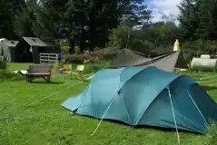 Non Electric Grass Pitches at The Old Vicarage Campsite at Ridley's Residence