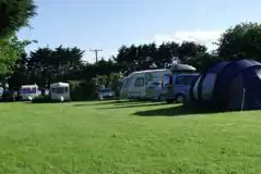 Grass Pitches at St Petrox Campsite