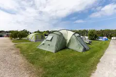 Standard Grass Pitches with Hardstanding at Woodview Campsite