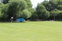 Grass Tent Pitches at Washington Caravan and Camping Park