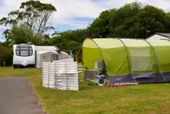 Electric Grass Tent Pitches at Calloose Holiday Park