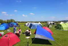Non Electric Tent Pitches (The Old Apiary Field) at Orchard View Farm