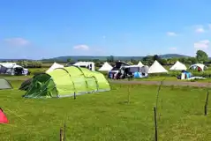 Premium Non Electric Tent Pitches (Fallow Field) at Orchard View Farm
