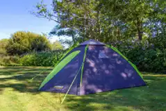 Non Electric Grass Tent Pitches at Oakdene Forest Park