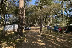 Non Electric Rookery Camping Pitches at Durdle Door Holiday Park