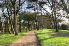 Rockery non electric woodland style pitches (unallocated)