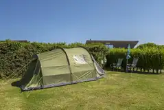 Electric grass tent pitches