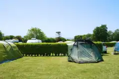 Electric grass tent pitches 