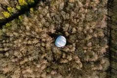 Forest Geodome