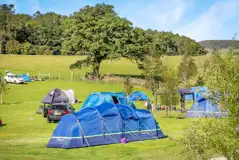Non Electric Grass Pitches at Catgill Farm Camping and Glamping