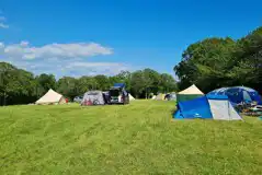 Non Electric Grass Pitches  at Earth Camp