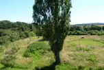 Non Electric Orchard Pitches at The Secret Campsite