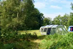 Group Pitches at Beech Estate Campsite