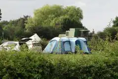 Grass Tent Pitches at Baconsthorpe Meadows Campsite