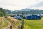 Medium Electric Grass Pitches at Norden Farm Campsite