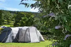 Premium Non Electric Grass Pitch (7.5m x 7.5m) at Howgill Lodge